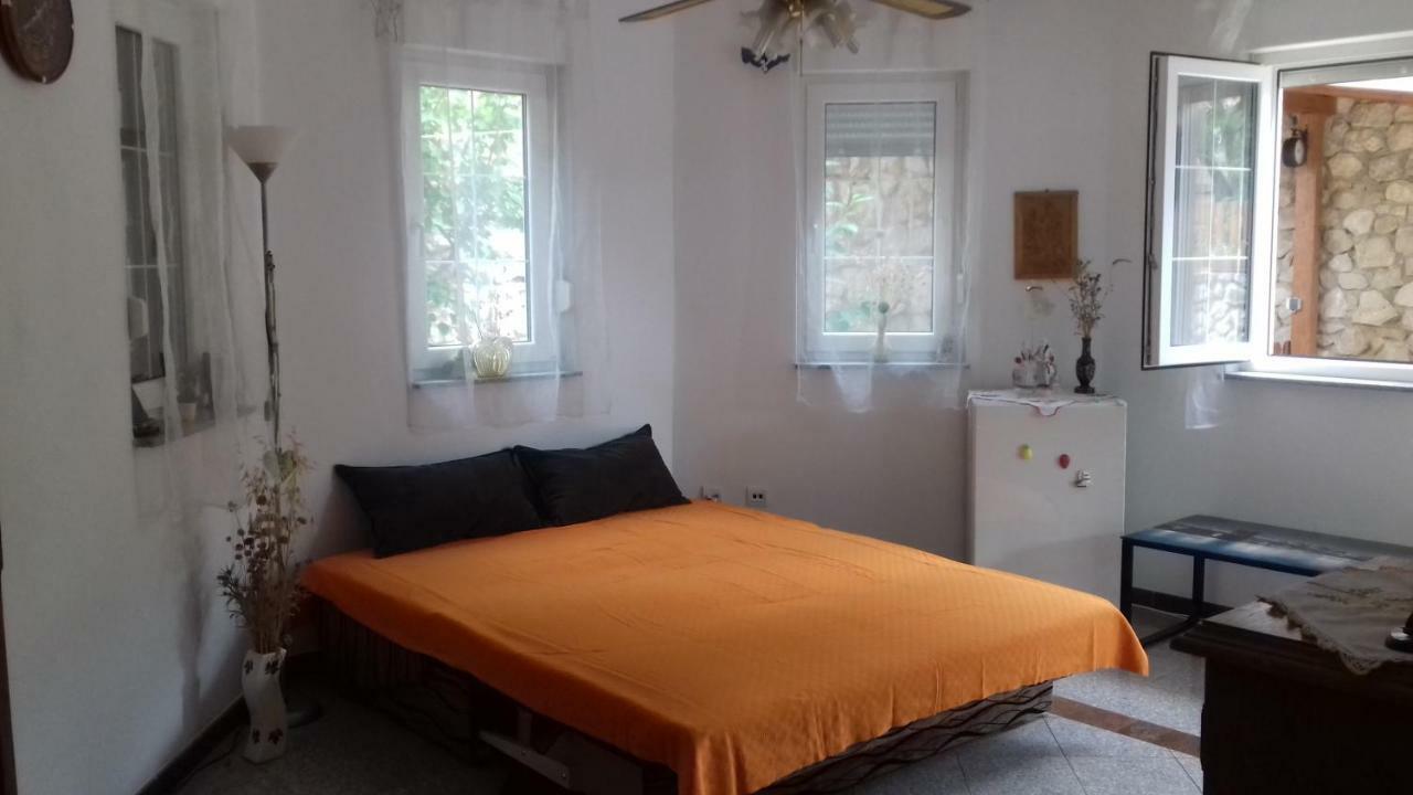 Apartmani Luja ノヴィ・ヴィノドロスキー エクステリア 写真